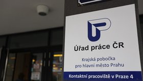 Úřad práce v Praze 4: Po epidemii nejspíše přijme hodně lidí, kteří se budou ucházet o práci