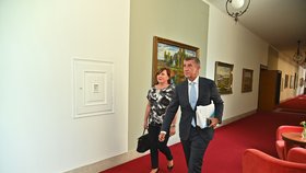 Jednání vlády: Andrej Babiš s vicepremiérkou Alenou Schillerovou