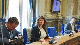 Jednání vlády: Ministryně práce a sociálních věcí Jana Maláčová