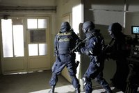Tvrdý zásah protikorupční policie: Hřebčín v Kladrubech obrátili vzhůru nohama