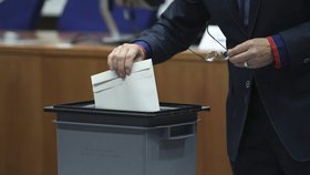 Policisté prověřují možnou manipulaci s volebními lístky ve Slaném na Kladensku. (ilustrační foto)