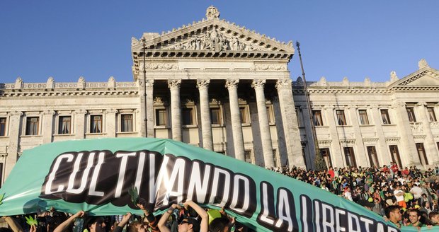 Uruguay je první zemí, kde tamní administrativa legalizovala prodej a pěstování marihuany.