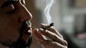 Uruguay schválila úplnou legalizaci marihuany jako první stát na světě. Nyní se čeká již jen na podpis  prezidenta (10. prosince 2013)