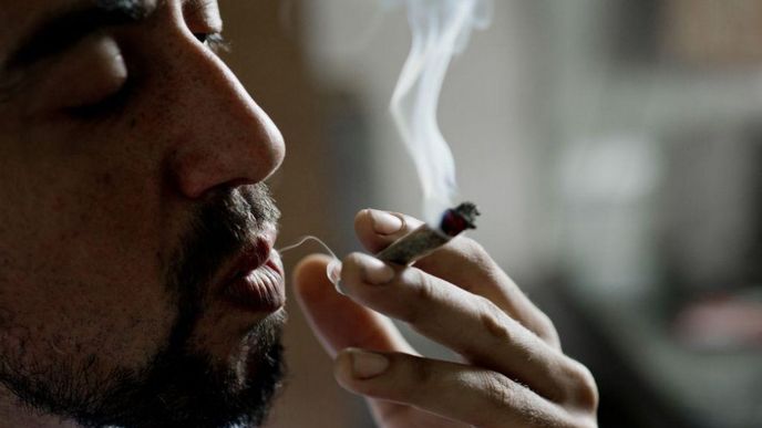 Uruguay schválila úplnou legalizaci marihuany jako první stát na světě.