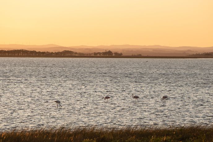Laguna de Rocha je rájem ornitologů