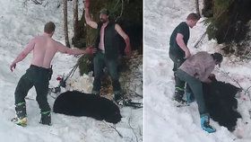 Andrew si s Owenem nad mrtvou medvědicí plácl, pak ji společně stáhli z kůže