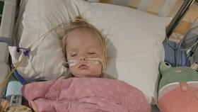 Caru (1) uštkl před domem chřestýš. Lékaři bojují o záchranu její nohy.