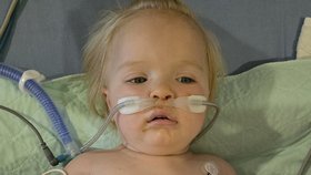 Caru (1) uštkl před domem chřestýš. Lékaři bojují o záchranu její nohy.