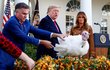 Americký prezident Donald Trump v Bílém domě omilostnil krocana, který ve čtvrtek na Den díkůvzdání ve většině amerických domácností skončí na pekáči.