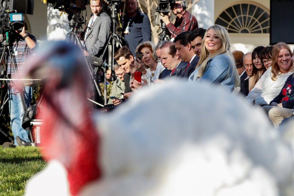 Americký prezident Donald Trump v Bílém domě omilostnil krocana, který ve čtvrtek na Den díkůvzdání ve většině amerických domácností skončí na pekáči.