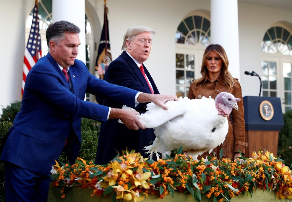 Americký prezident Donald Trump v Bílém domě omilostnil krocana, který ve čtvrtek na Den díkůvzdání ve většině amerických domácností skončí na pekáči.