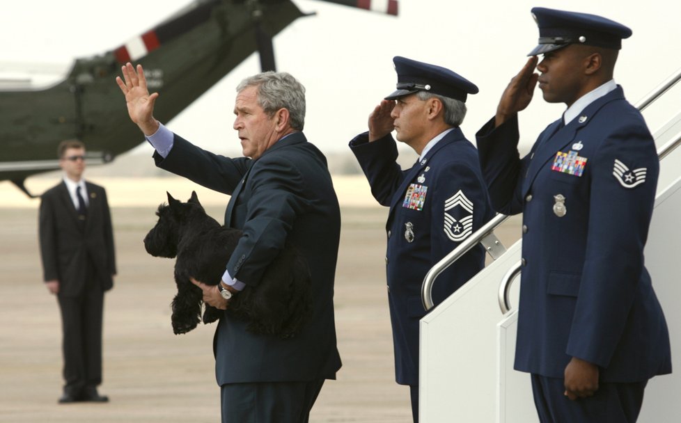 George Bush si vzal do Bílého domu dva psy: Barneyho a Miss Beazley.