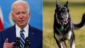 Bidenův zlobivý pes zase někoho pokousal. Bude muset Major znovu pryč z Bílého domu?
