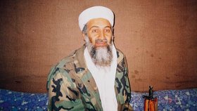 Bin Ladin