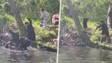 Krvelačná bestie napadla dítě: Chlapce (8) pokousal bobr se vzteklinou!