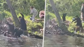 Na chlapce během rybaření zuřivě zaútočil bobr nakažený vzteklinou.