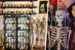 Brooklynský sběratel kostí má doma přes 200 koster, páteří a lebek,