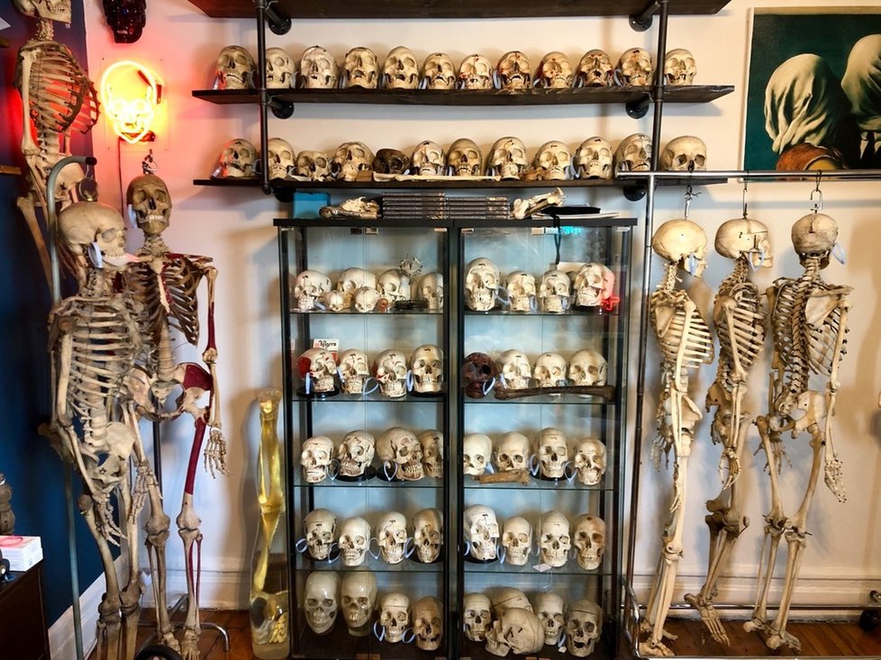 Brooklynský sběratel kostí má doma přes 200 koster, páteří a lebek,
