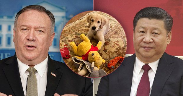 Trumpův muž si utahuje z Číny? Důkazem má být fotka ministrova psiska s plyšákem
