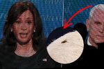 Viceprezidentská debata měla nečekanou hvězdu, viceprezidenta Pence otravovala moucha.