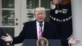 Prezident Trump udělil milost krocanovi.