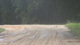 Pošťačka (†61) podlehla útoku psů.