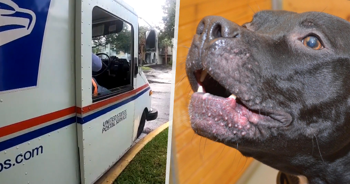 Pošťačka (†61) podlehla útoku psů.
