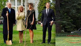 Strom, který loni na symbol svého přátelství zasadili Macron a Trump, uschl. Zbyl po něm jen žlutý flek na trávníku.