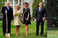 Trumpův a Macronův strom „přátelství“ zmizel. Listnáč v Bílém domě uschnul