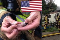 Odhodlání amerických hasičů: Z hořícího domu vytáhli i křečky!