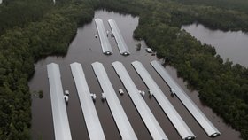 Teprve nedávno zasáhl USA ničivý hurikán Florence.