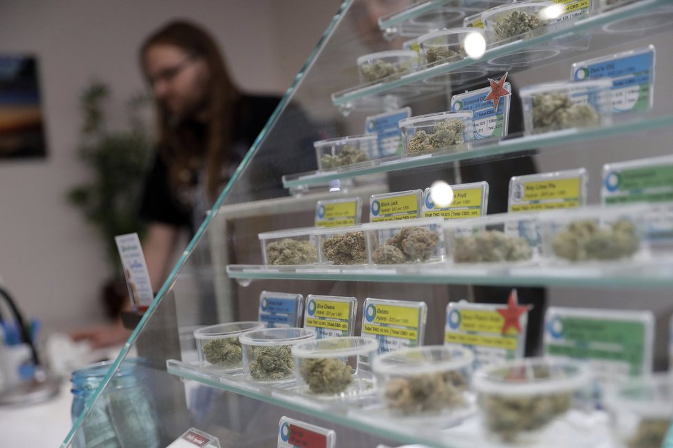 V Kalifornii se otevřely obchody s marihuanou pro rekreační účely