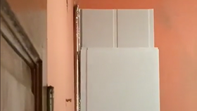 Žena natočila ve svém domě v Karibiku obludně velkého pa