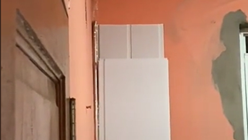 Žena natočila ve svém domě v Karibiku obludně velkého pa