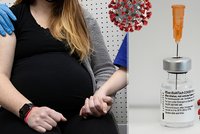 Vakcíny Moderna a Pfizer jsou bezpečné i během těhotenství, potvrdil americký úřad
