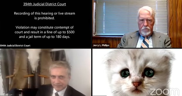 Místo právníka bylo u soudu smutné kotě. Soudce mu na online jednání radil vypnout filtr
