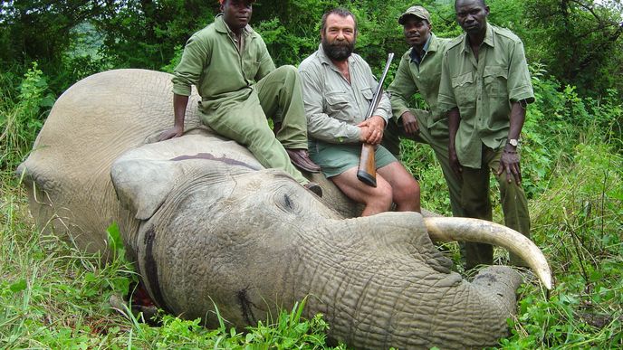 Američané si budou moci opět vozit domů trofeje z afrických lovů.