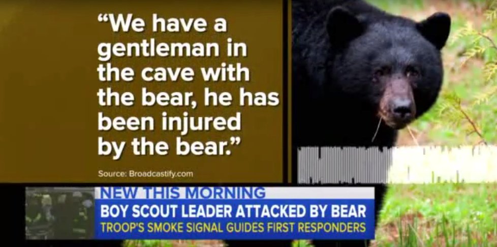 Padesátiletý muž přežil pokousání medvědem černým s těžkými zraněními.