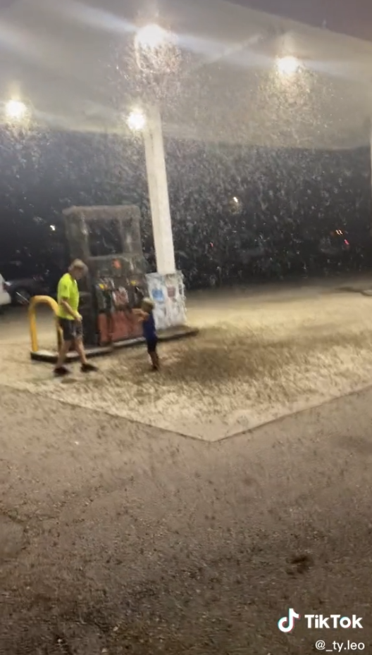 Benzinovou pumpu v Michiganu pohltily hordy jepic.