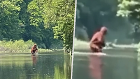 Záhadný tvor v lese vyděsil lidi: jedná se o mýtického Bigfoota?