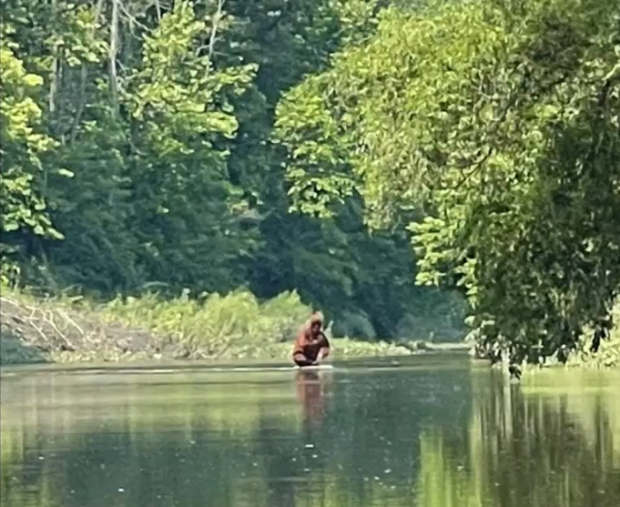 V americkém Michiganu natočili záhadného tvora.