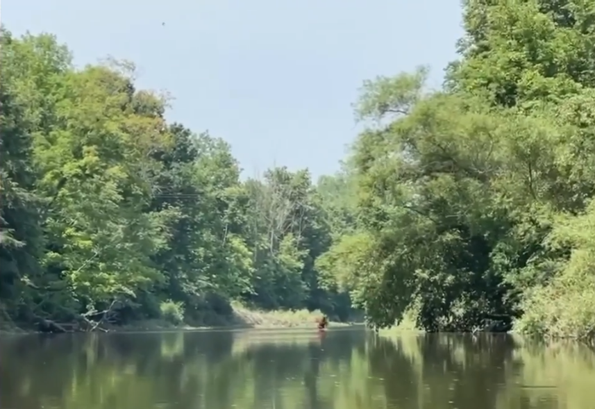 V americkém Michiganu natočili záhadného tvora.