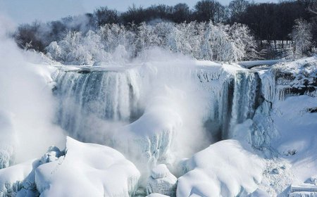 USA a Kanadu svírají mrazy, zamrzly dokonce i Niagarské vodopády (23. 1. 2019).