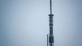 Žádost o ruku na Empire State Building skončila zatčením.