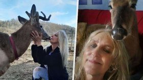 V USA zemřela zakladatelka svatyně pro jeleny, zvířata ji napadla