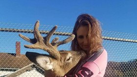 Jodi se zachraňování jelenů věnovala posledních 12 let