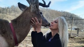 Jodi se zachraňování jelenů věnovala posledních 12 let