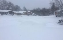 Šumava a jižní Čechy bílé nezůstanou: Sníh vystřídá déšť a mrznoucí mlhy! Kolik naměříme?