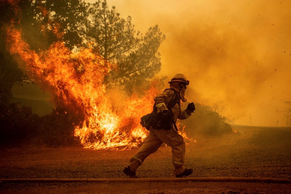 Ničivé požáry v Kalifornii jsou největší v historii tohoto státu.