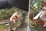 Policisté v americkém Seattlu zpacifikovali nahého muže s mačetou.
